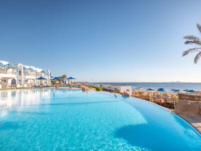 Großer Infinity-Pool mit Blick auf den Ozean und Palmen an einem sonnigen Tag.