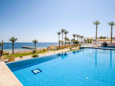 Klares blaues Schwimmbad mit palmenumgebenem Meerblick unter strahlend blauem Himmel.