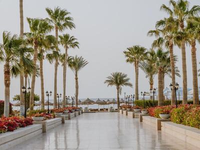 Ampio viale fiancheggiato da palme e aiuole che conduce a spiaggia e mare sotto un cielo limpido.