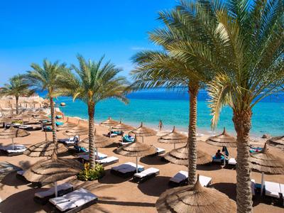 Strand mit Palmen, Sonnenschirmen und Liegestühlen an einem klaren, blauen Meer.
