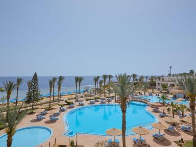Großer Poolbereich mit Palmen, Sonnenliegen und Blick aufs Meer an einem sonnigen Tag.