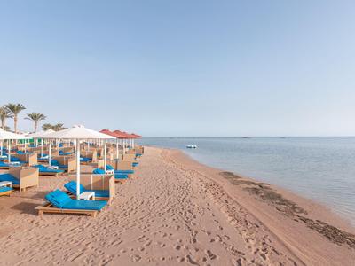 Leerer Sandstrand mit blauen Liegestühlen und weißen Sonnenschirmen neben ruhigem Meer.