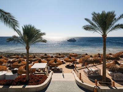 Vista da un edificio con palme su una spiaggia con lettini, ombrelloni e una barca sul mare.