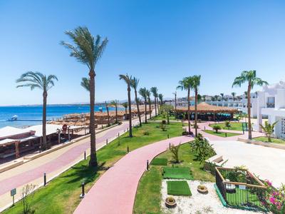 Passeggiata con palme lungo una spiaggia, edifici bianchi e ombrelloni vicino al mare.