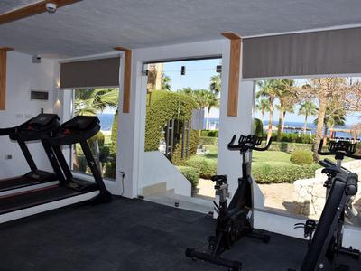 Innenraum eines Fitnessraums mit Geräten und Aussicht auf einen Garten und den Poolbereich.
