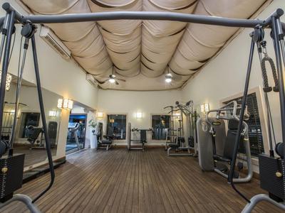 Spacious gym with wooden floor, modern equipment, and padded ceiling area.