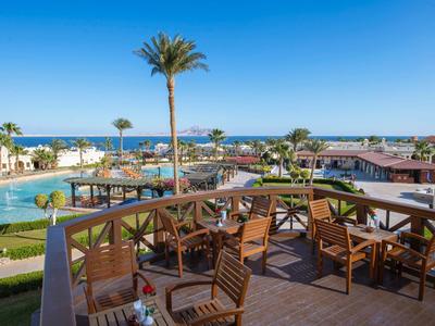 Vista desde una terraza con sillas de madera hacia una piscina y palmeras en un resort bajo un cielo azul.