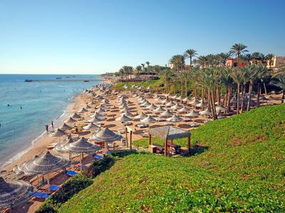 Plage avec parasols et transats à côté d'un hôtel avec des palmiers et un ciel dégagé.