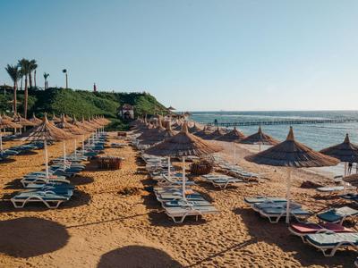 Plage de sable vide avec des rangées de chaises longues et parasols sous un ciel bleu clair.