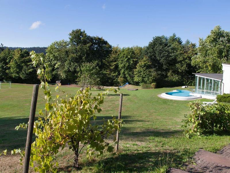 Großer grüner Garten mit einem kleinen Pool neben einem modernen weißen Haus und Bäumen im Hintergrund.