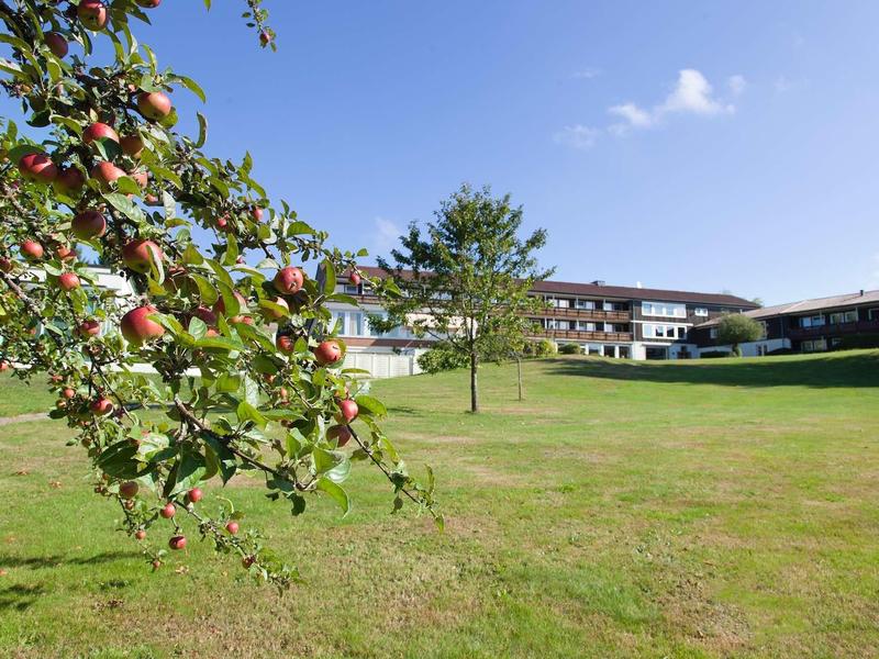 Grüner Garten mit Apfelbaum im Vordergrund und großen Gebäuden im Hintergrund bei blauem Himmel.