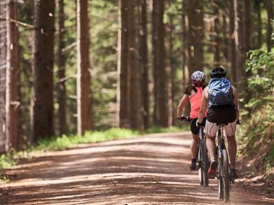 Zwei Radfahrer fahren auf einem Waldweg durch dichtes Grün.