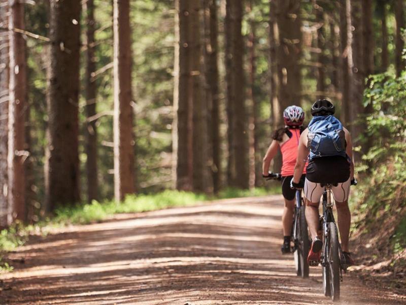 Zwei Radfahrer fahren auf einem breiten Waldweg, umgeben von hohen Bäumen und grüner Natur.