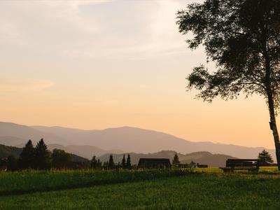 Landschaft mit grünem Gras, Baum, Picknicktisch und Bergen bei Sonnenuntergang.