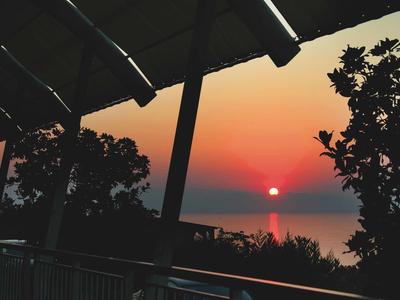 Zachód słońca nad morzem z drzewa w sylwetce i balustradą tarasu na pierwszym planie.