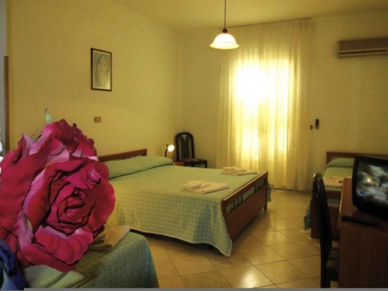 Chambre d'hôtel simple avec lit double, télévision et roses au premier plan.