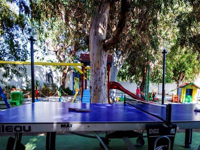 Table de ping-pong en plein air avec aire de jeux et arbres en arrière-plan