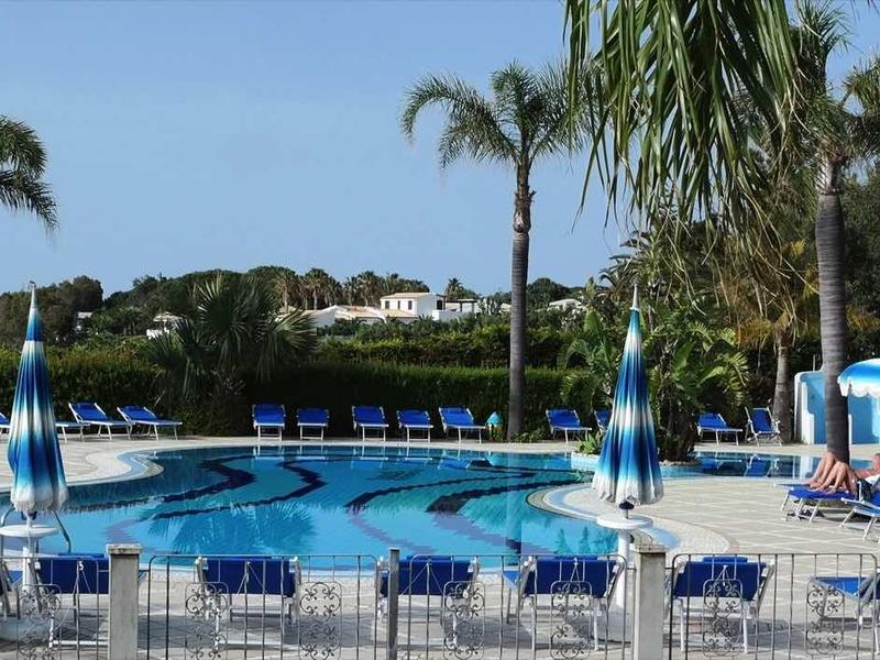 Espace piscine avec chaises longues bleues et parasols, entouré de palmiers et de paysage boisé.