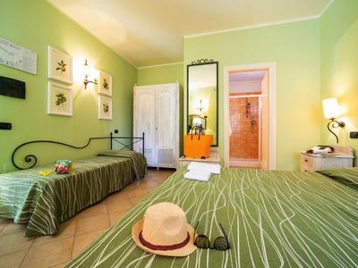 Cozy hotel room with two single beds, green walls, and a bathroom.