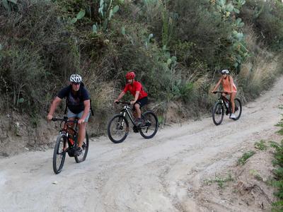 Tres personas montan bicicletas de montaña por un sendero estrecho y serpenteante en el bosque.