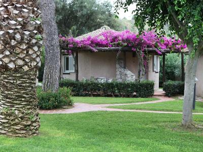 Kwitanące rośliny pokrywają taras przed bungalowem hotelowym z zadbaną trawą.