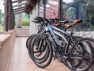 Varias bicicletas de montaña están alineadas sobre un suelo de baldosas junto a un edificio con ventanas de vidrio.