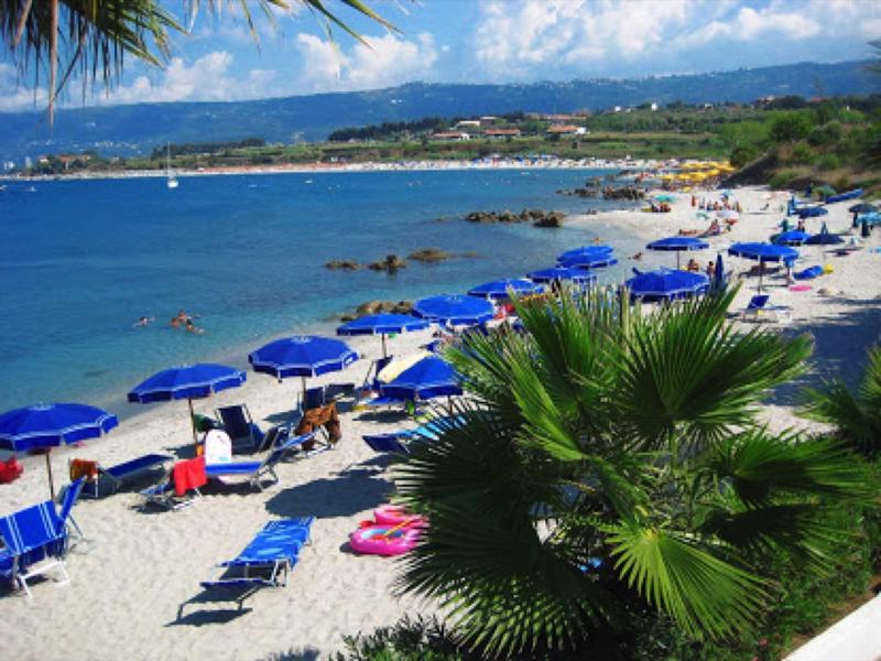 Pláž s modrými slunečníky, lehátky a zelenými palmami u moře.