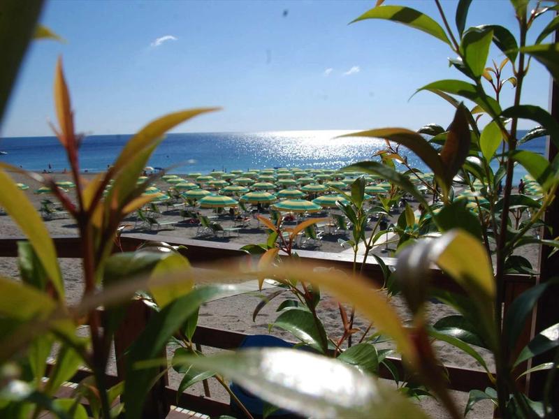Blick durch grüne Blätter auf viele grüne Sonnenschirme am sonnigen Strand am Meer.