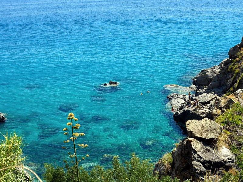 Klares, blaues Wasser mit Felsen und grünen Pflanzen am Ufer eines Meeres oder Sees.