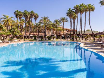 Grande piscina dell'hotel con acqua blu, circondata da palme e lettini sotto un cielo limpido.