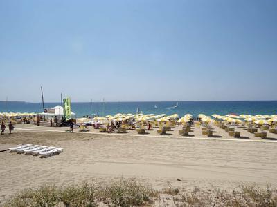 Plaża z rzędami parasoli i leżaków pod niebieskim niebem