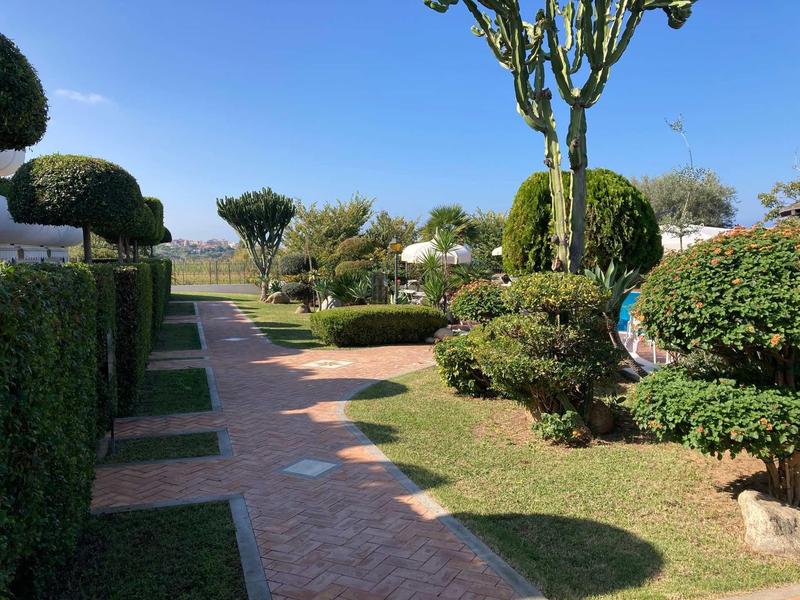 Gepflegter Garten mit unterschiedlich geschnittenen Sträuchern und Bäumen unter blauem Himmel.
