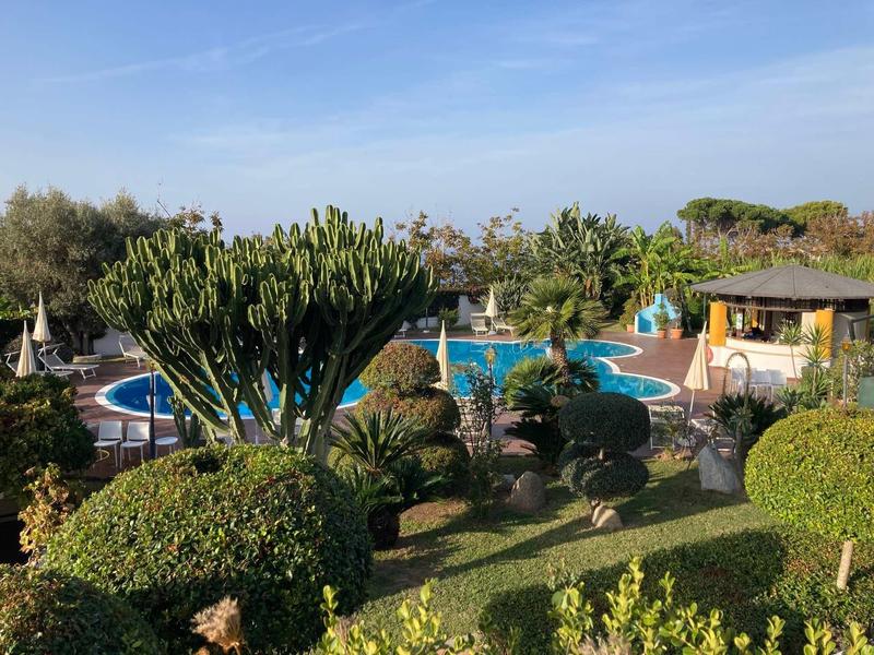 Grüner Garten mit gepflegten Sträuchern, großen Kakteen, Pool und einem Holzhäuschen bei blauem Himmel.