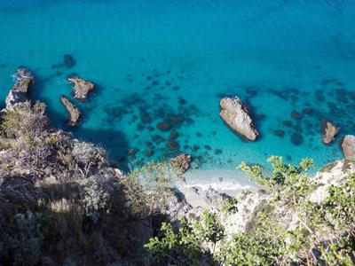 Türkisblaues Wasser mit Felsen und Bäumen an einer felsigen Küste.