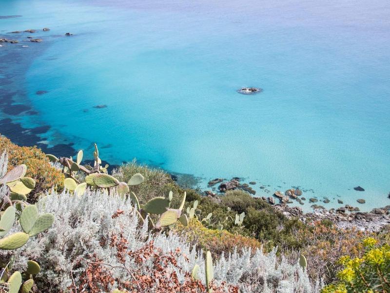 Eau turquoise claire près d'une côte rocheuse avec une végétation luxuriante au premier plan.