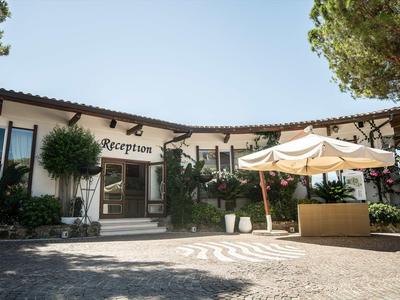 Außenansicht eines Empfangsbereichs mit Garten und Sonnenschirm bei klarem Himmel