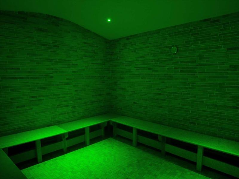 Salle de vapeur avec murs en bois et banc éclairés en vert