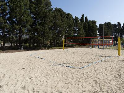 Empty sand volleyball court surrounded by trees on a sunny day.