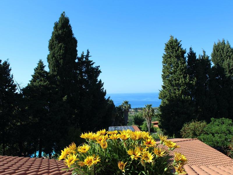 Blauer Himmel, grüne Bäume, gelbe Blumen und rote Dächern mit Meer im Hintergrund.