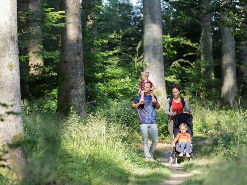 Familie wandelt op een bospaadje, vader draagt kind op schouders, moeder duwt kinderwagen.