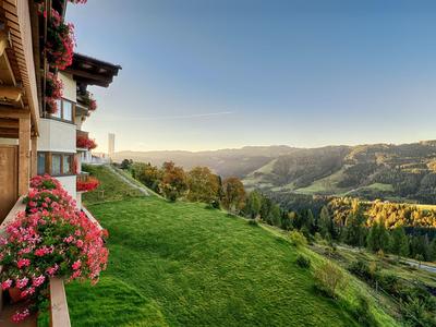 Vista da un balcone con fiori su un prato verde e colline boscose al tramonto.