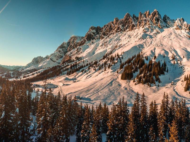 Pokryta śniegiem góra z sosnowym lasem i zachodem słońca pod czystym niebem.