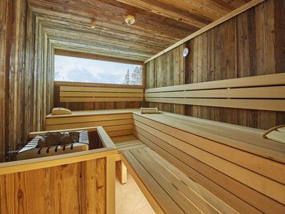 Sauna moderne avec boiseries, rangées de bancs et émetteur de chaleur à l'intérieur.