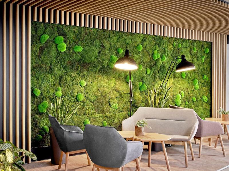 Nowoczesny salon z zieloną ścianą z mchu, wygodnymi fotelami i drewnianymi listwami sufitowymi.