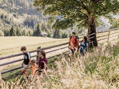 Rodina kráčí po stezce vedle dřevěného plotu v zelené krajině.