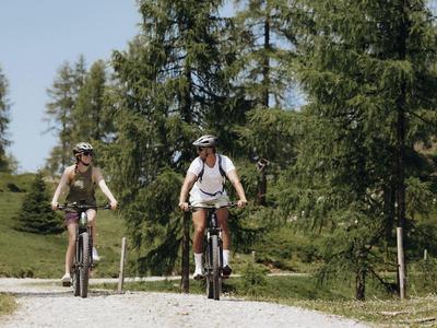 Dva cyklisté jedou po lesní cestě obklopené stromy a loukami.