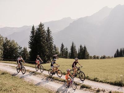 Fünf Radfahrer auf einem Waldweg vor Berglandschaft bei bewölktem Himmel.