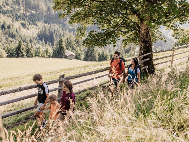 Rodina kráčí po stezce vedle dřevěného plotu v zelené krajině.