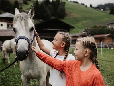 Deux filles avec des cheveux tressés caressant un cheval blanc dans un pré vert.