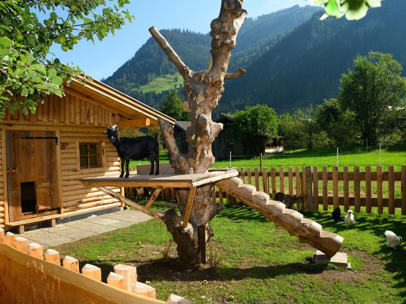 Maison en bois et arbre avec structure d'escalade sur une prairie verte en montagne
